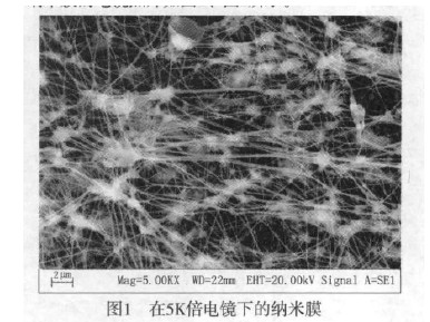 圖一 在5K倍電鏡下的納米膜